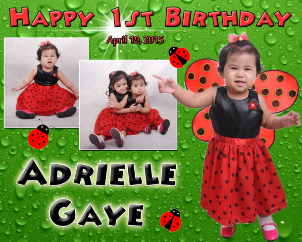 Adrielle 1st Birthday (Lady Bug)