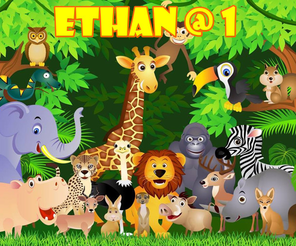 Ethan @ 1 Safari