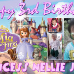 Princess Nellie Jane’s 3rd Birthday (Sofia)