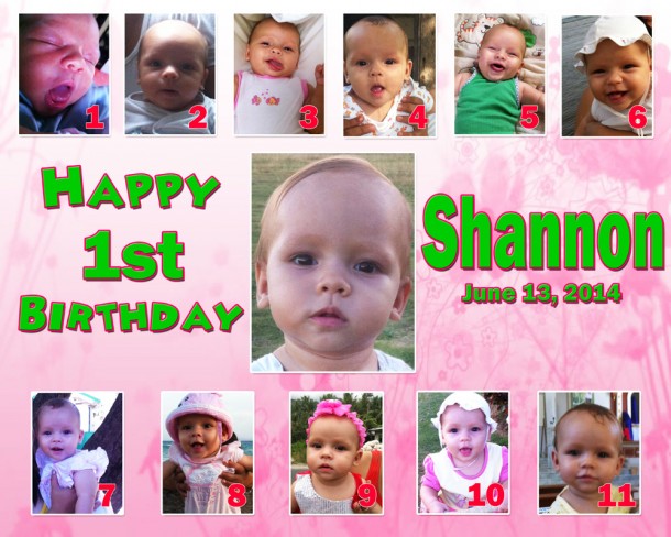 Shannon's 1st Birthday (Flower)