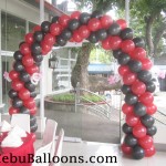 Red & Black Entrance Arch for a Ladybug Party