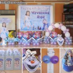 Frozen Theme Decoration & Party Items at Elegant Circle Inn