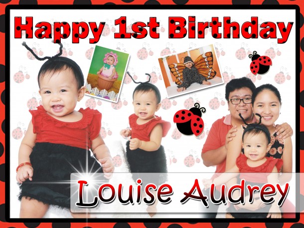 Louise Audrey's 1st Birthday - Ladybug Theme