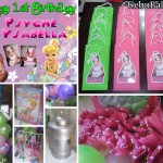 Tinkerbell Birthday Decor & Party Package at Pardo